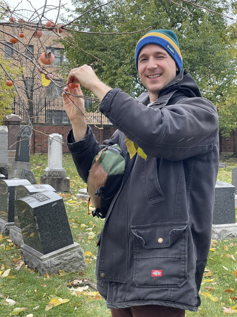 persimongraveyard